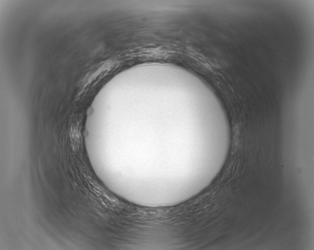 X0000086301254200703300919
