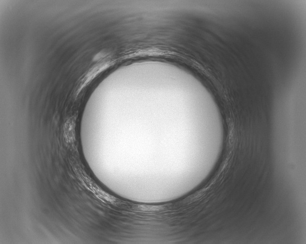 X0000086301258200703300919