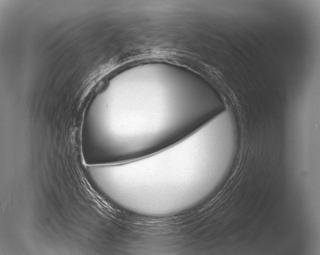 X0000086301260200703300919