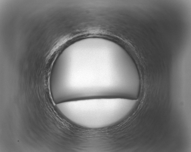 X0000086301263200703300919