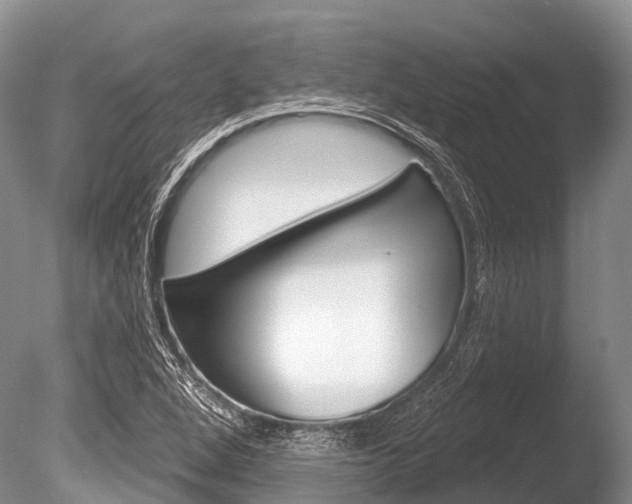 X0000086301264200703300919