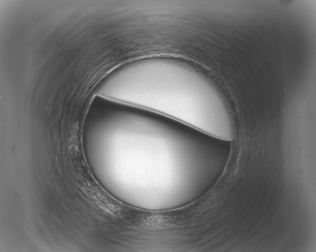 X0000086301265200703300919