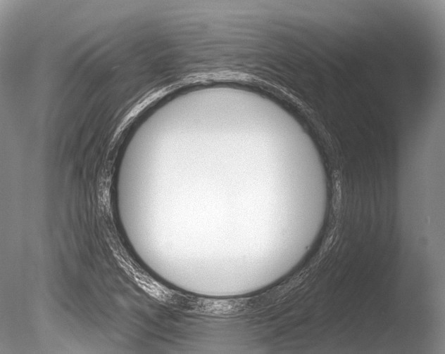 X0000086301266200703300919