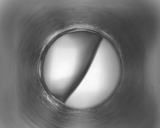 X0000086301272200703300919