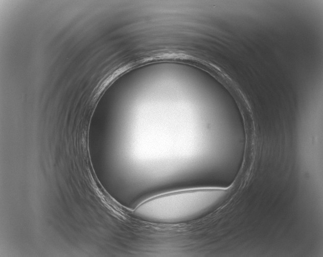 X0000086301281200703300919