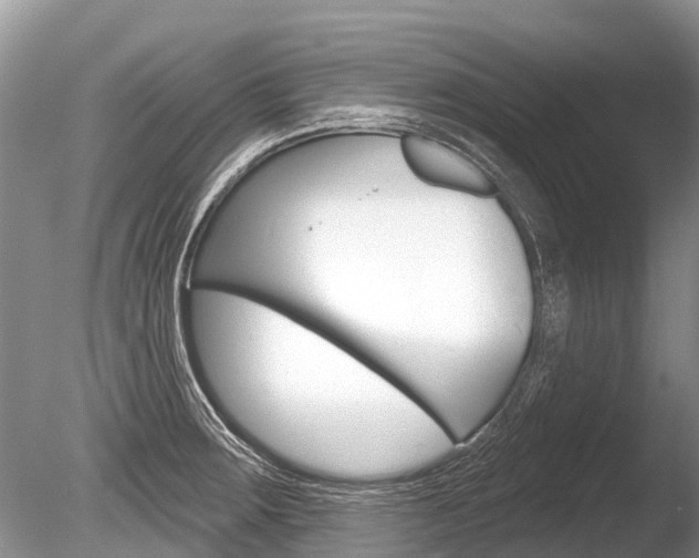 X0000086301283200703300918
