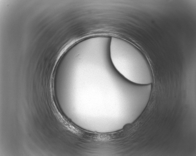 X0000086301291200703300918