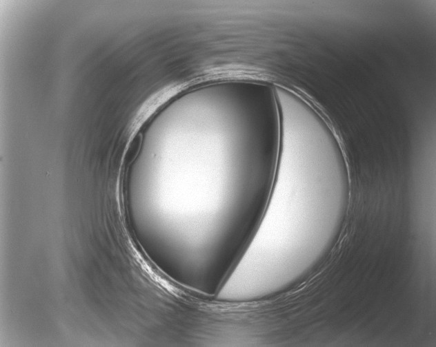 X0000086301293200703300918