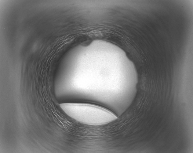 X0000086301297200703300917