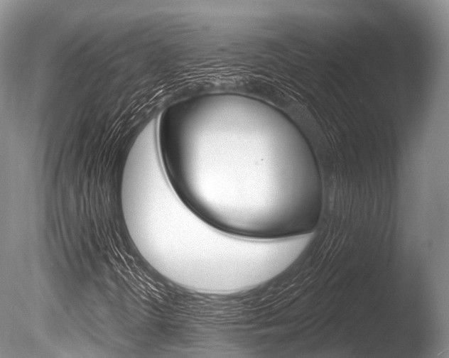 X0000086301298200703300917