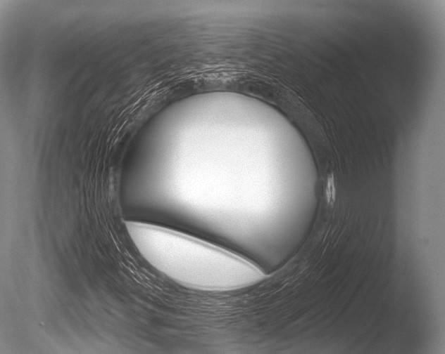 X0000086301299200703300917