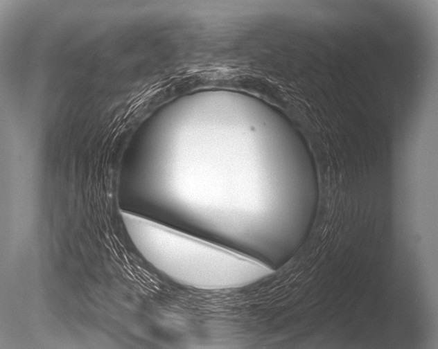 X0000086301301200703300917