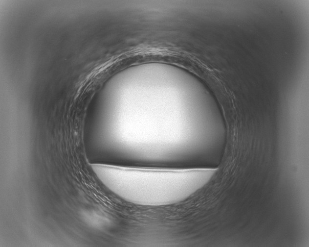 X0000086301303200703300918