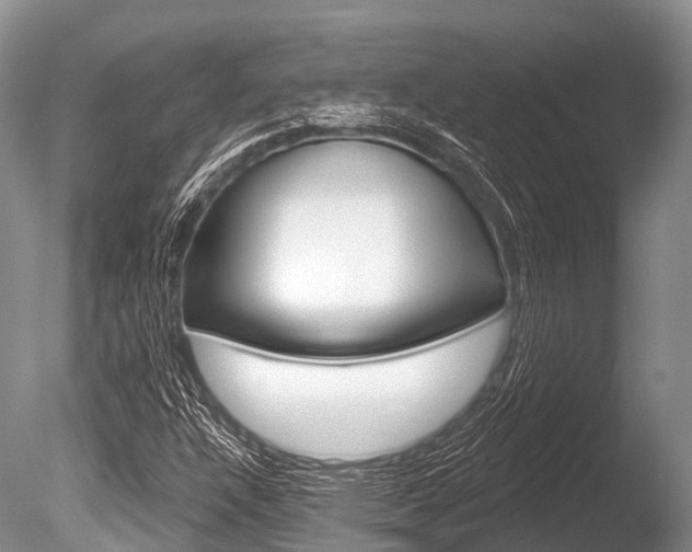 X0000086301304200703300918