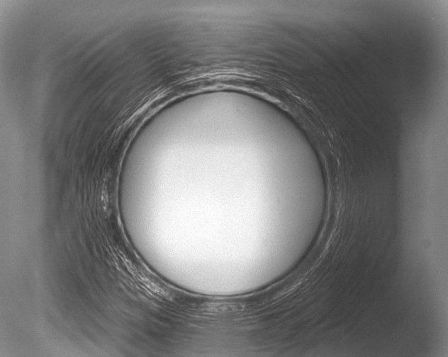 X0000086301305200703300918