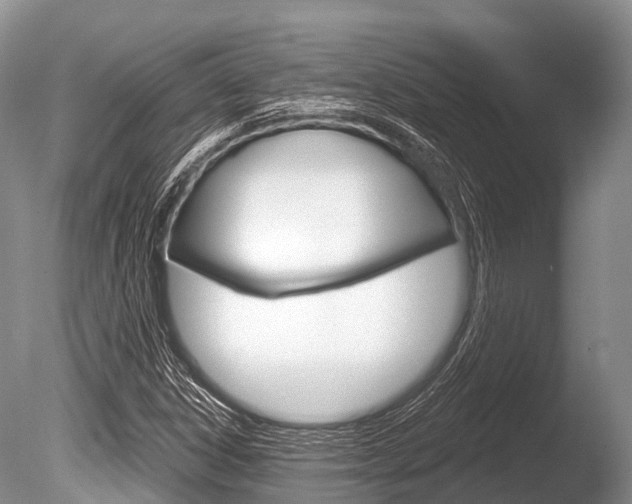 X0000086301306200703300918