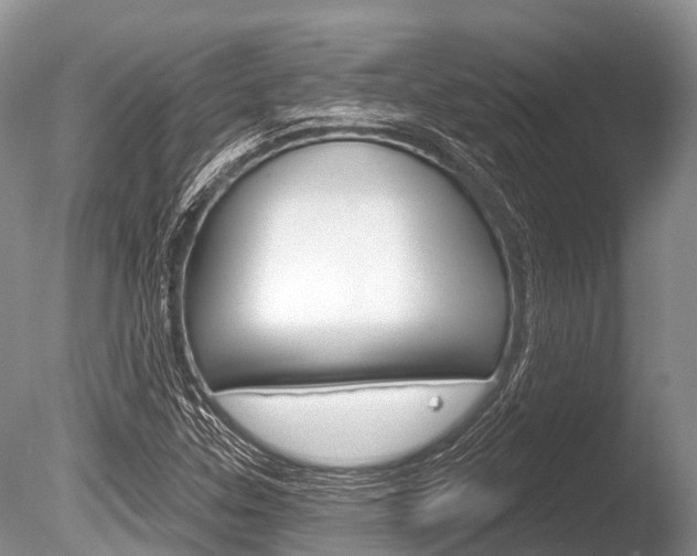 X0000086301307200703300918