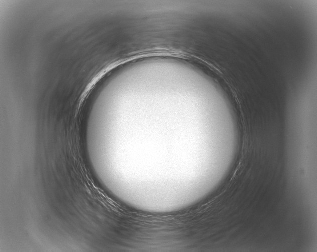 X0000086301310200703300918