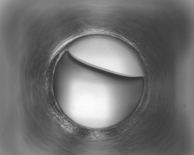 X0000086301311200703300918