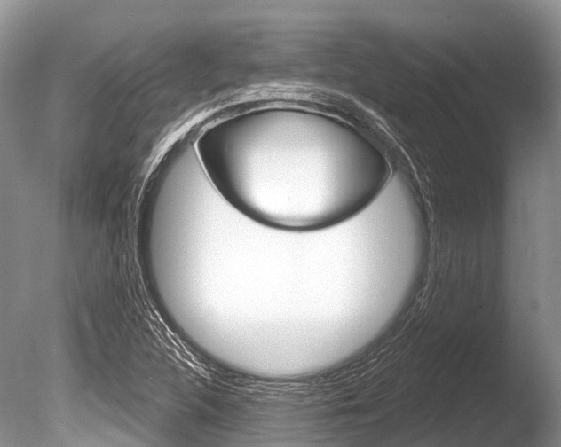 X0000086301312200703300918