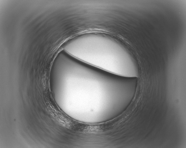 X0000086301313200703300918