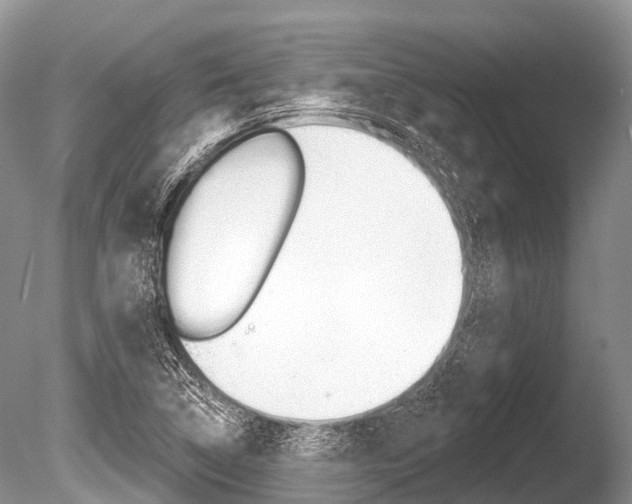 X0000086301314200703300918
