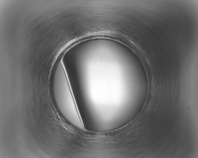 X0000086301316200703300918