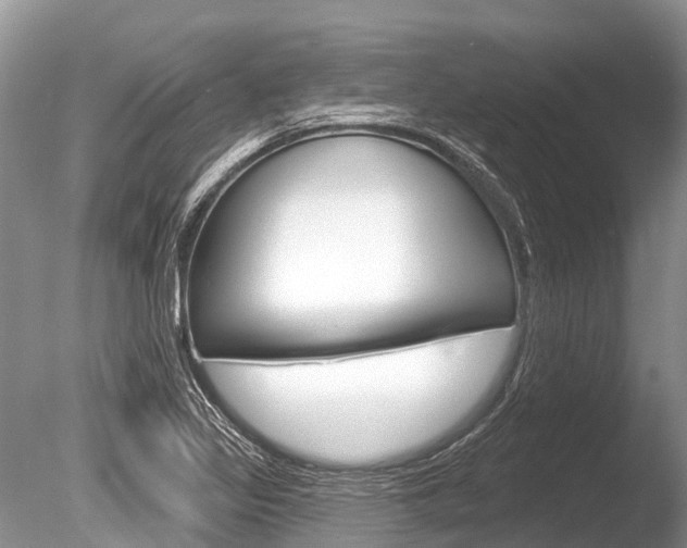 X0000086301317200703300918