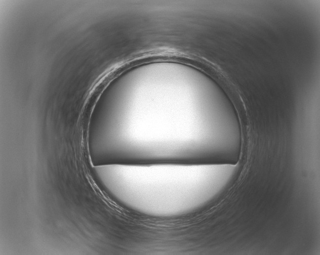 X0000086301318200703300918