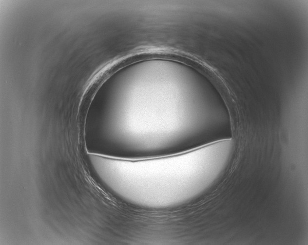 X0000086301319200703300918