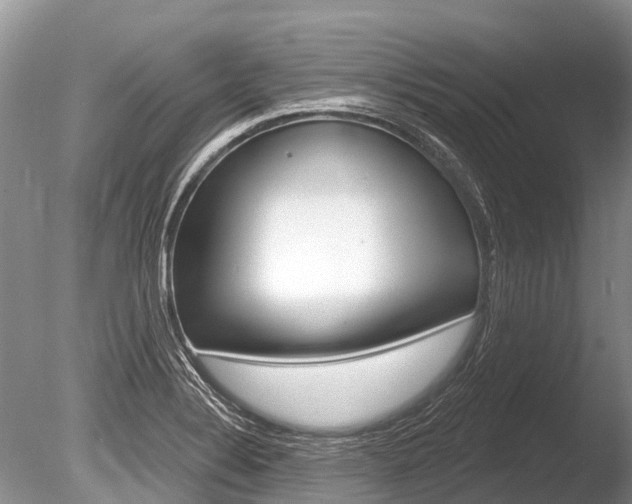 X0000086301324200703300918