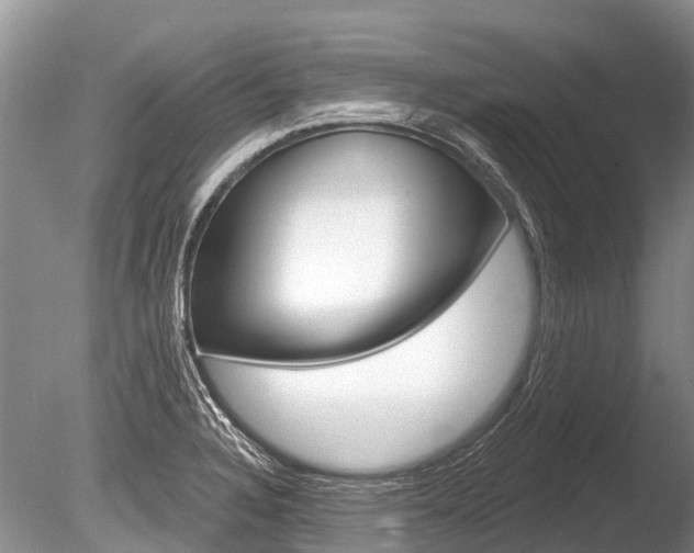 X0000086301328200703300918