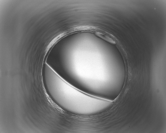 X0000086301330200703300918