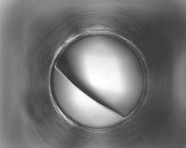 X0000086301333200703300918