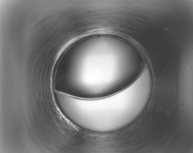 X0000086301334200703300918