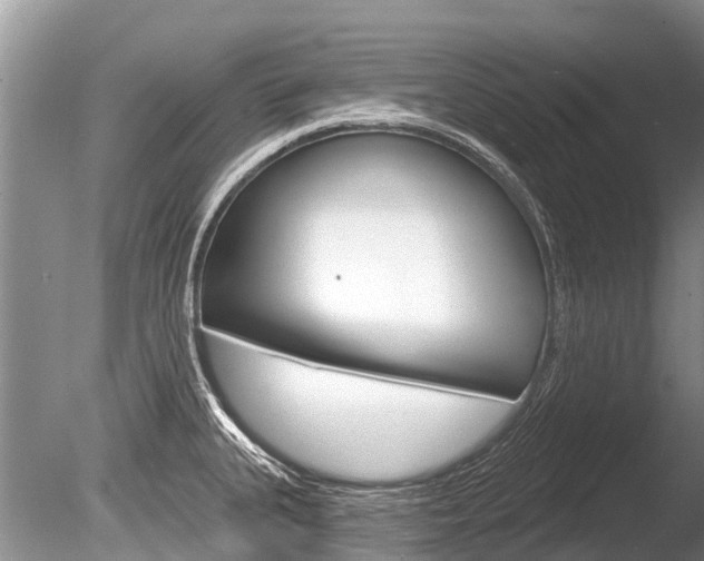 X0000086301335200703300918