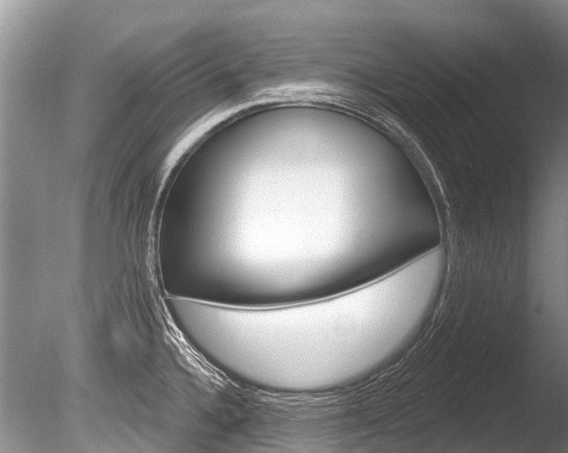 X0000086301336200703300918