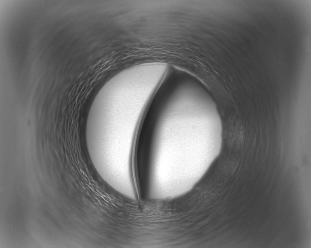 X0000086301345200703300917