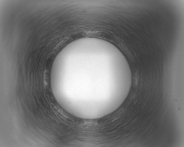 X0000086301346200703300917