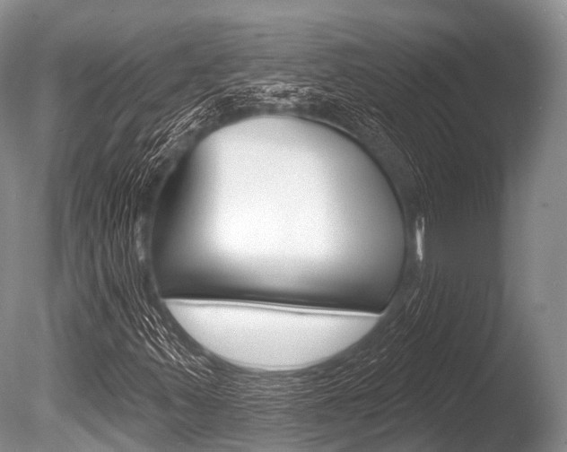 X0000086301347200703300917