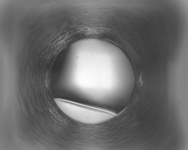 X0000086301348200703300917