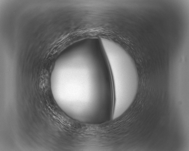 X0000086301349200703300917