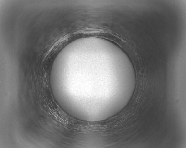 X0000086301351200703300917