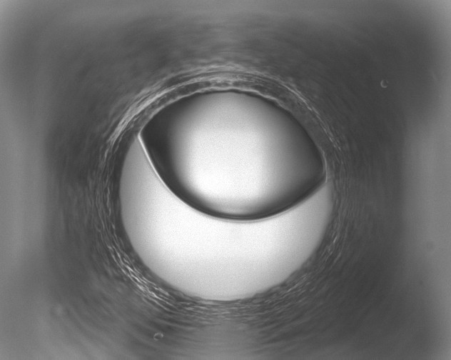 X0000086301352200703300917