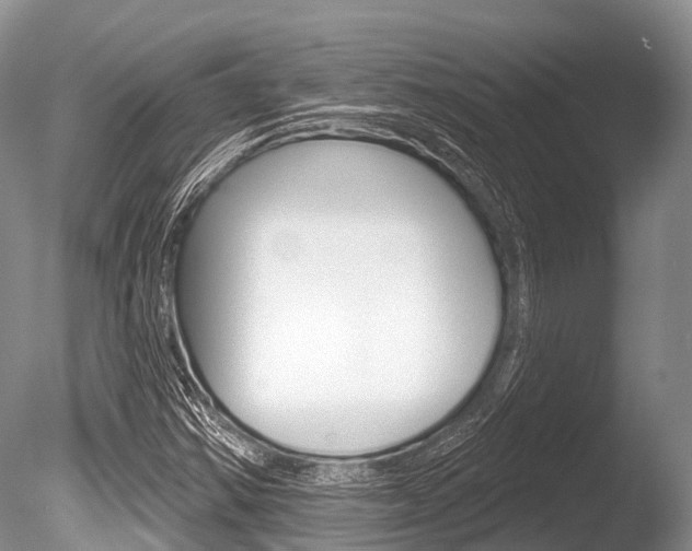 X0000086301354200703300917