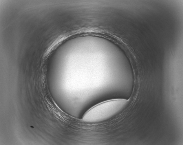 X0000086301359200703300917