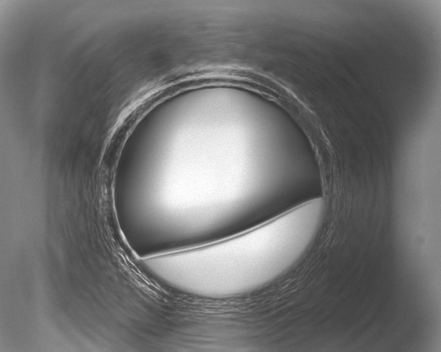 X0000086301360200703300917