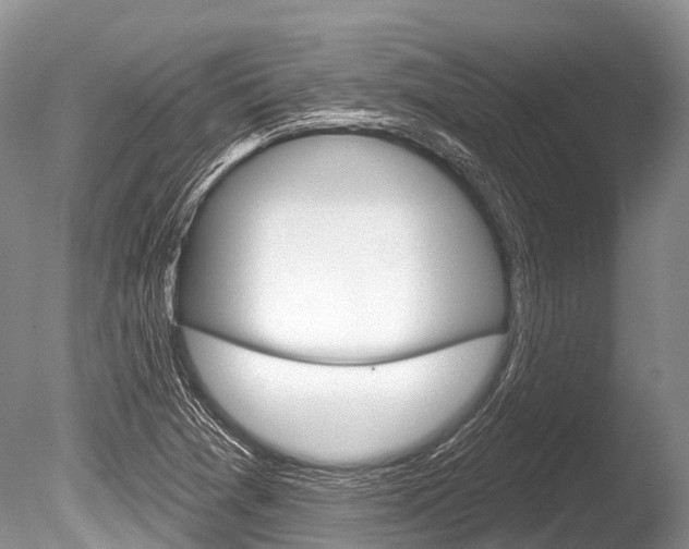 X0000086301361200703300917