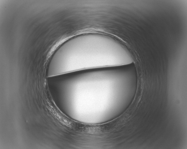 X0000086301363200703300917