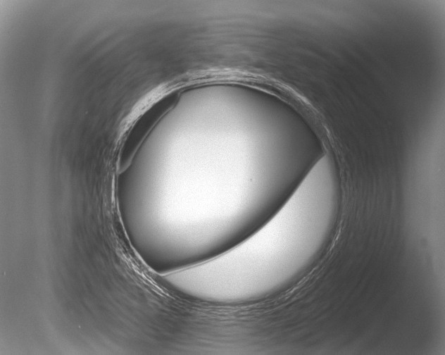 X0000086301365200703300917
